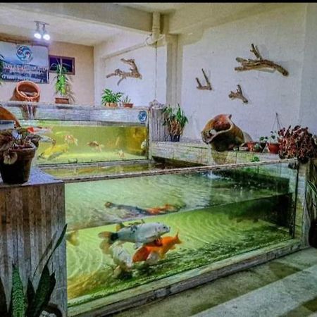 Recanto Villas Boas Ubatuba Exteriör bild