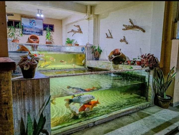 Recanto Villas Boas Ubatuba Exteriör bild